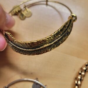 Alex and ani charm bracelet